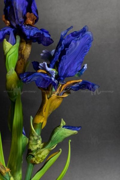 MD-BOU-IRIS-BLUE-1 "Заблудившиеся в лете"