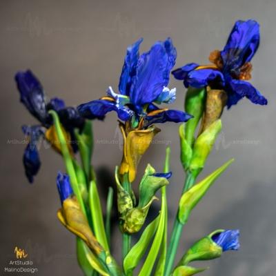 MD-BOU-IRIS-BLUE-1 "Заблудившиеся в лете"