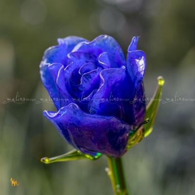 Синяя роза из стекла – примеры ранее выполненных работ