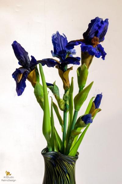 MD-BOU-IRIS-BLUE-1 "Заблудившиеся в лете"