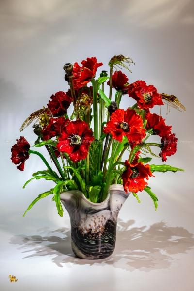 MD-BOU-MON-LATE_POPPIES-4