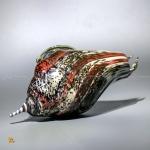 Стеклодувная ракушка Арлекин