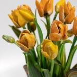 Букет  тюльпанов из цветного стекла  "Желтые Ритмы-25-1"